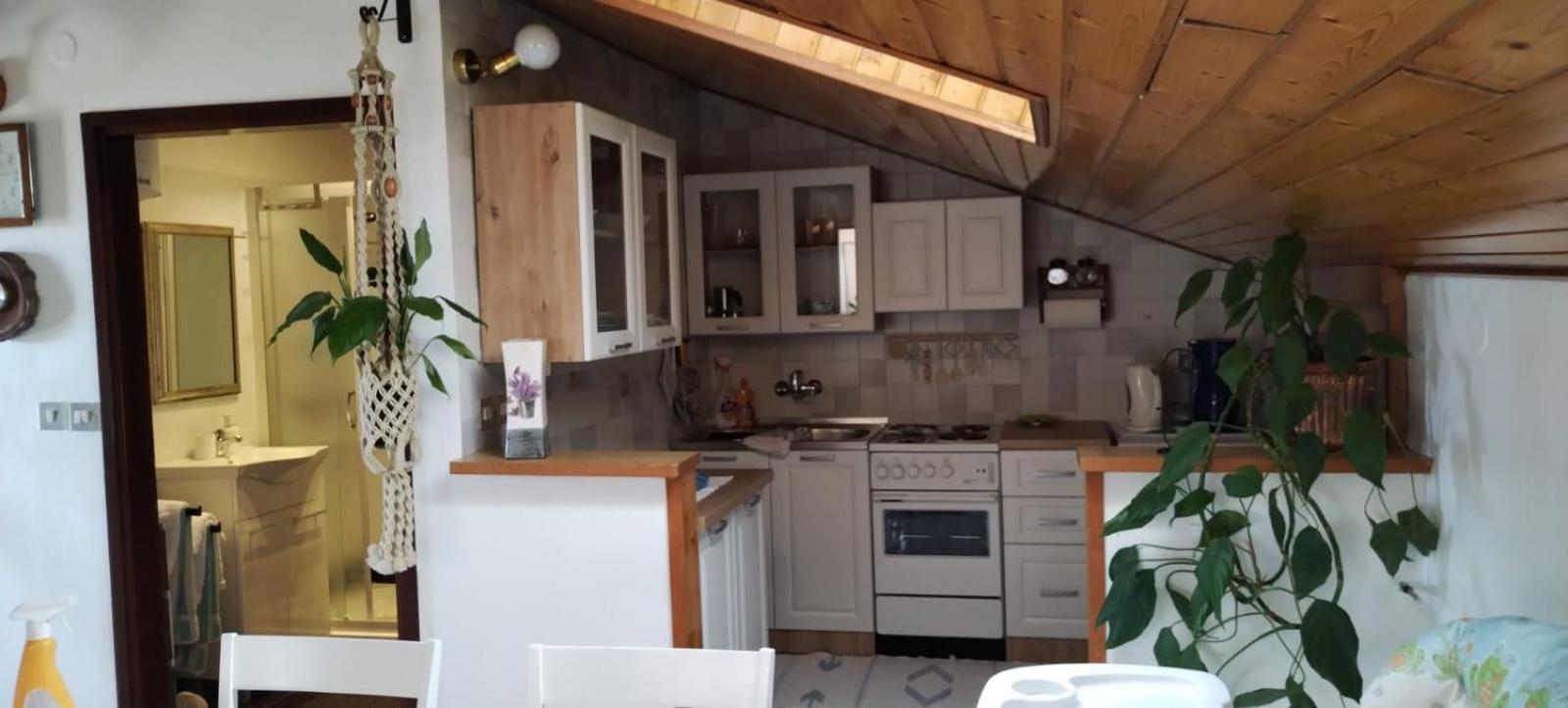 Apartment Gaudeamus Umag Kültér fotó